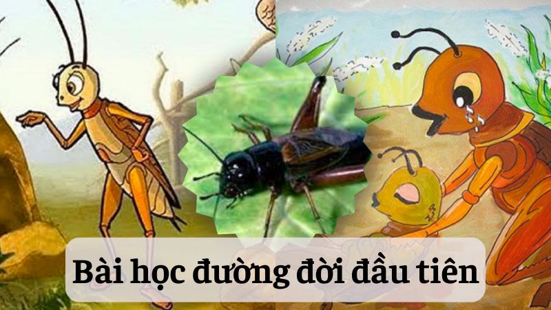 bai-hoc-duong-doi-dau-tien Bài học đường đời đầu tiên
