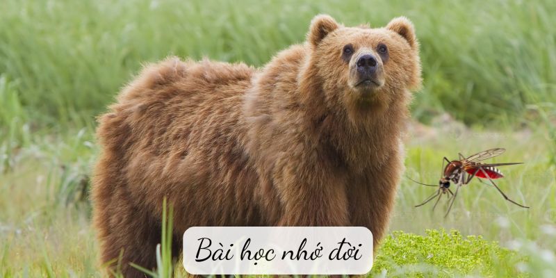 bai-hoc-nho-doi-1 Bài học nhớ đời