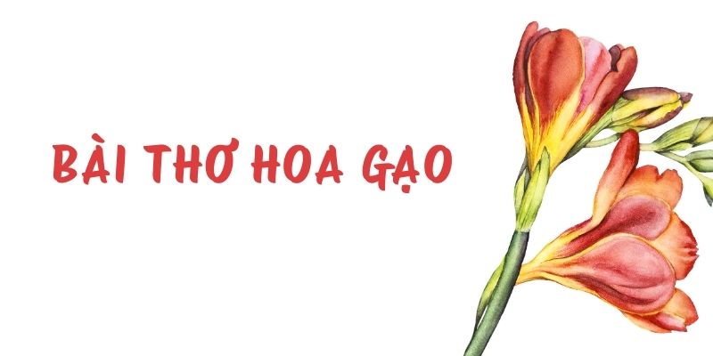 Bài thơ Hoa gạo (Nguyễn Lãm Thắng)