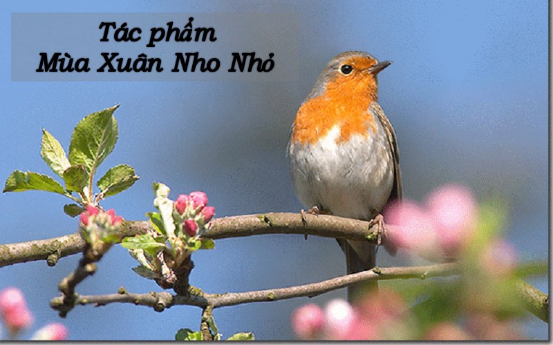 bai-tho-mua-xuan-nho-nho-1 Bài thơ mùa xuân nho nhỏ