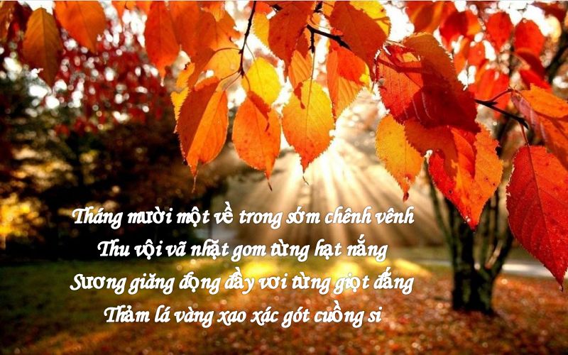 bai-tho-thang-11 Bài thơ tháng 11