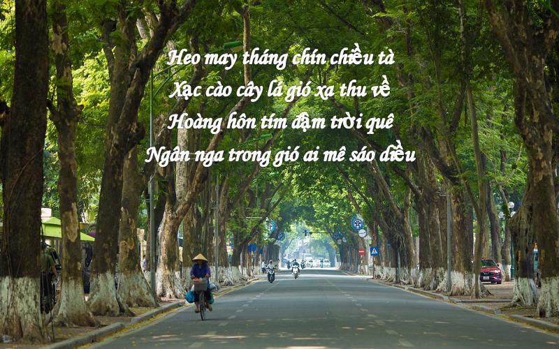bai-tho-thang-9 Bài thơ tháng 9