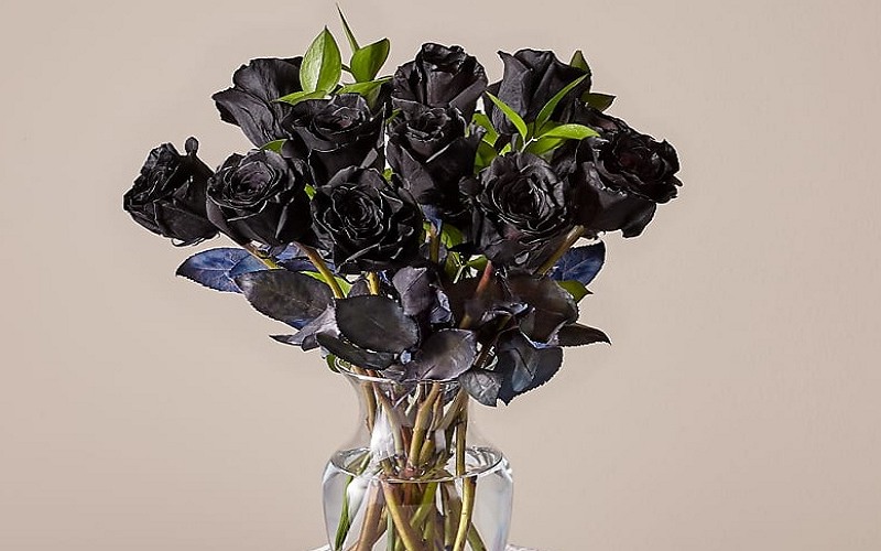 bai-tho-ve-hoa-hay Bài thơ về hoa hay