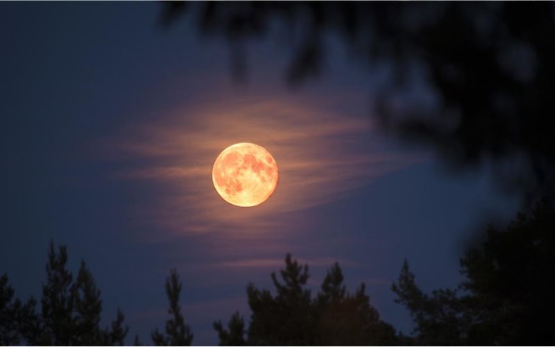 bai-tho-ve-trang bài thơ về trăng