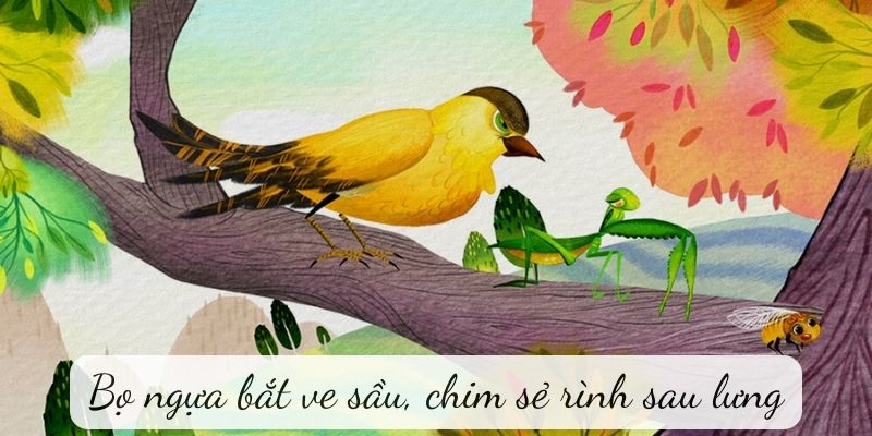bo-ngua-bat-ve-sau-chim-se-rinh-sau-lung-1 Bọ ngựa bắt ve sầu, chim sẻ rình sau lưng