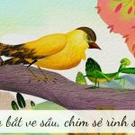 Truyện ngụ ngôn: Bọ ngựa bắt ve sầu, chim sẻ rình sau lưng