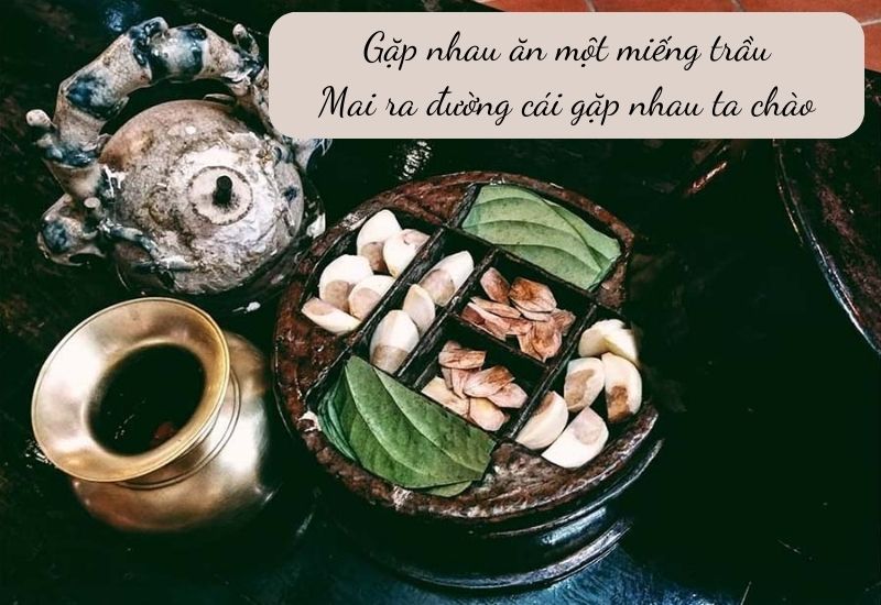 ca-dao-co-tu-an ca dao có từ ăn