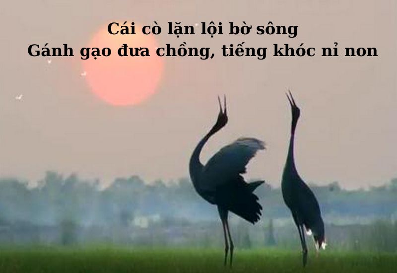 ca-dao-than-than-yeu-thuong-tinh-nghia ca dao than thân yêu thương tình nghĩa