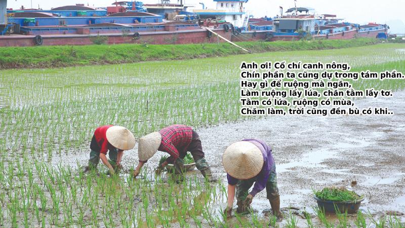 ca-dao-tuc-ngu-ve-lao-dong ca dao tục ngữ về lao động