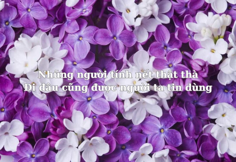 ca-dao-tuc-ngu-ve-long-trung-thuc ca dao tục ngữ về lòng trung thực