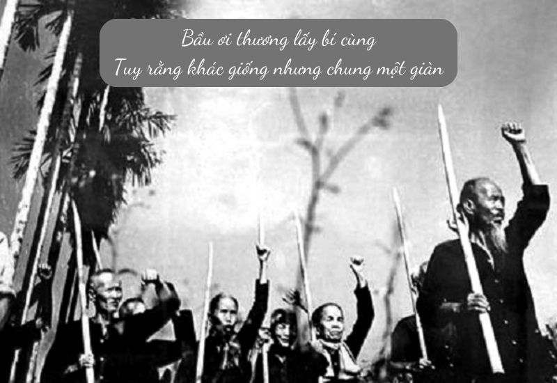 ca-dao-tuc-ngu-ve-yeu-nuoc ca dao tục ngữ về yêu nước