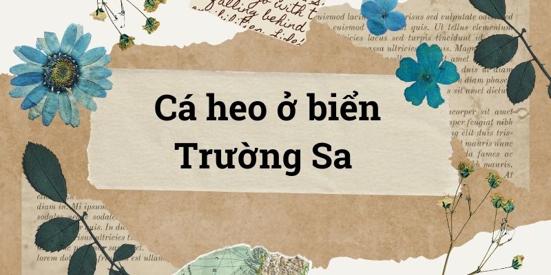 Bài 1: Cá heo ở biển Trường Sa – Tiếng Việt lớp 4 Chân trời sáng tạo