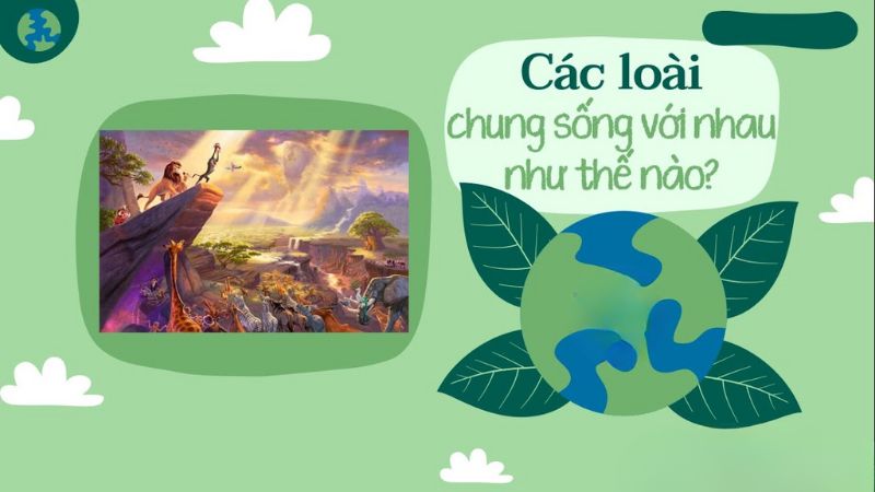 cac-loai-chung-song-voi-nhau-nhu-the-nao Các loài chung sống với nhau như thế nào