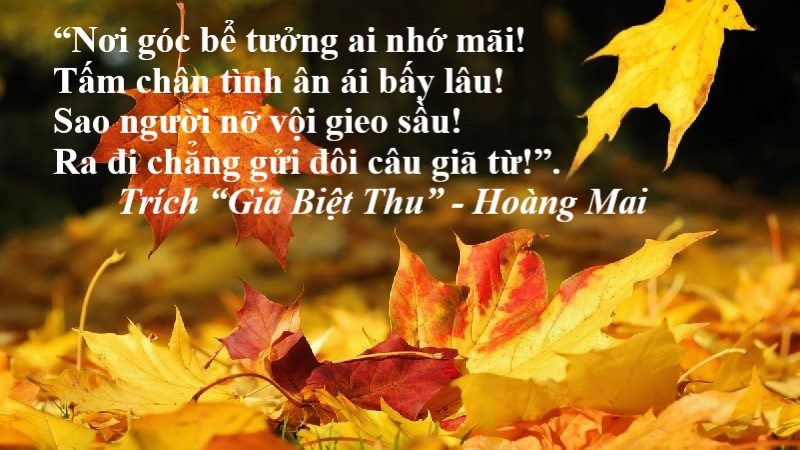 cac-the-tho-viet-nam các thể thơ việt nam