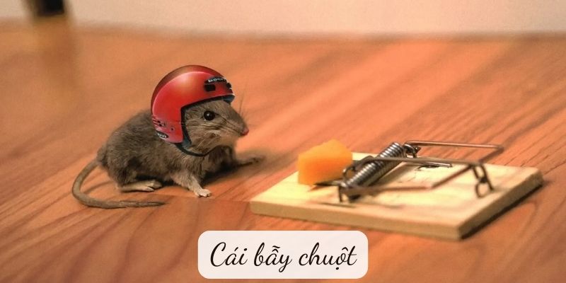 cai-bay-chuot-1 Cái bẫy chuột