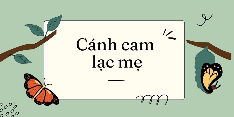 Cánh cam lạc mẹ (Ngân Vịnh) – Tiếng Việt lớp 5 trang 17