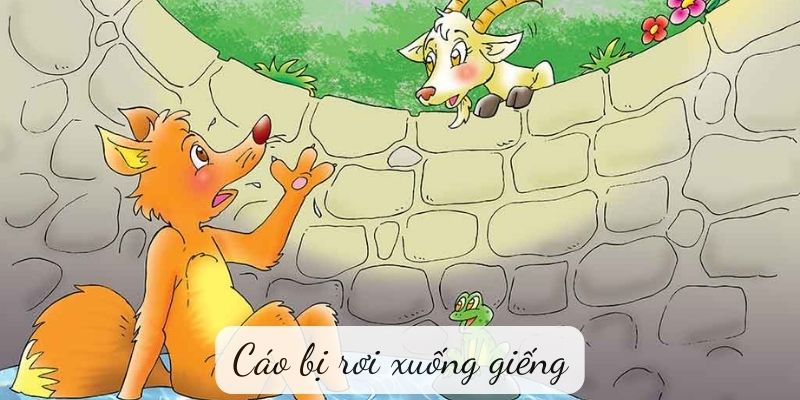 cao-bi-roi-xuong-gieng-1 Cáo bị rơi xuống giếng