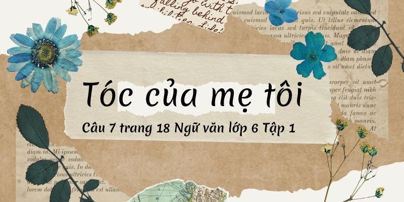 Đọc bài thơ Tóc của mẹ tôi (Phan Thị Thanh Nhàn)