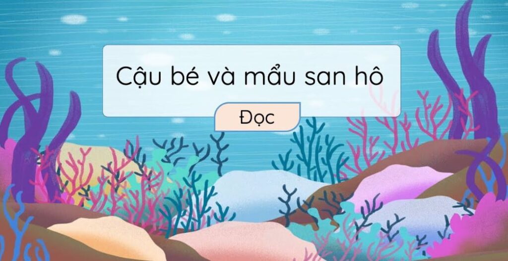 Bài 1: Cậu bé và mẩu san hô Tiếng Việt lớp 3 Chân trời sáng tạo
