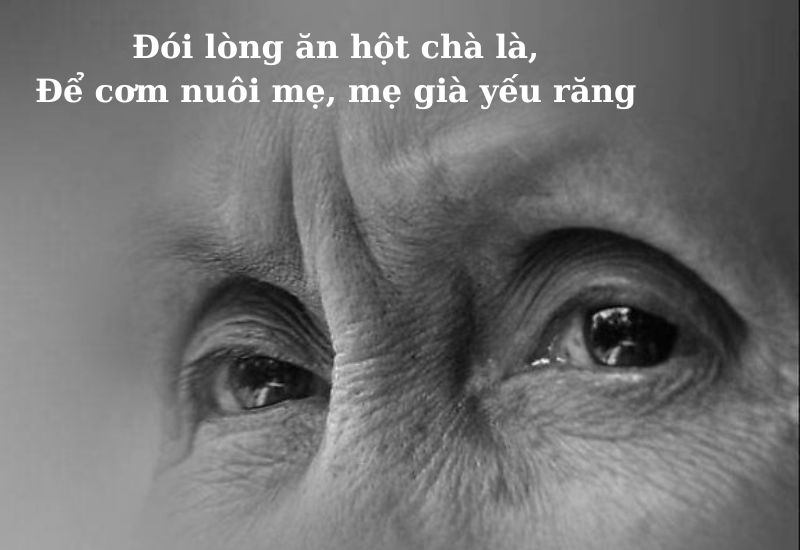 cau-ca-dao-ve-long-hieu-thao câu ca dao về lòng hiếu thảo