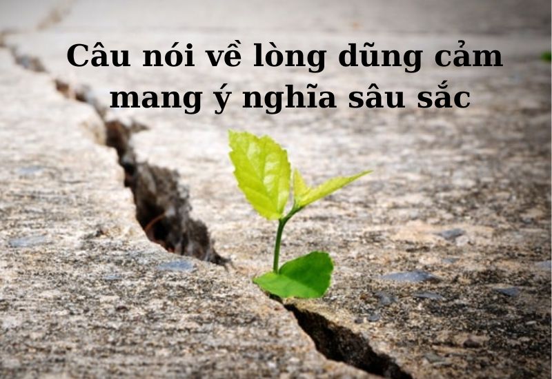 cau-noi-ve-long-dung-cam-mang-y-nghia-sau-sac câu nói về lòng dũng cảm mang ý nghĩa sâu sắc