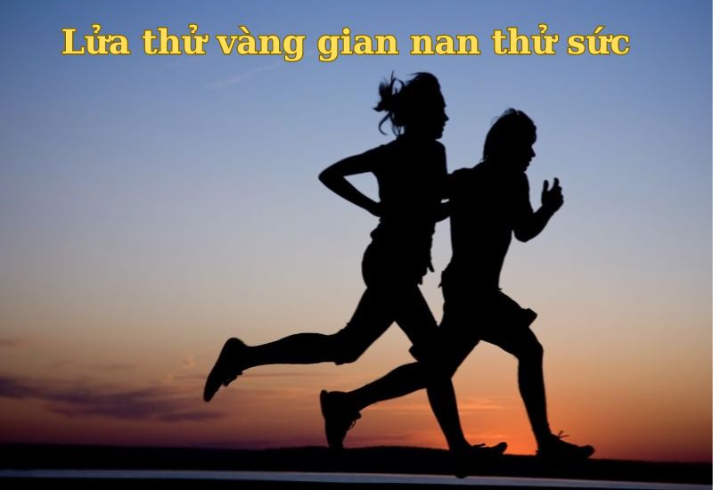 cau-thanh-ngu-ve-su-co-gang câu thành ngữ về sự cố gắng