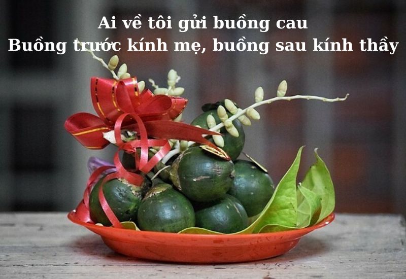 cau-tho-ve-long-hieu-thao câu thơ về lòng hiếu thảo
