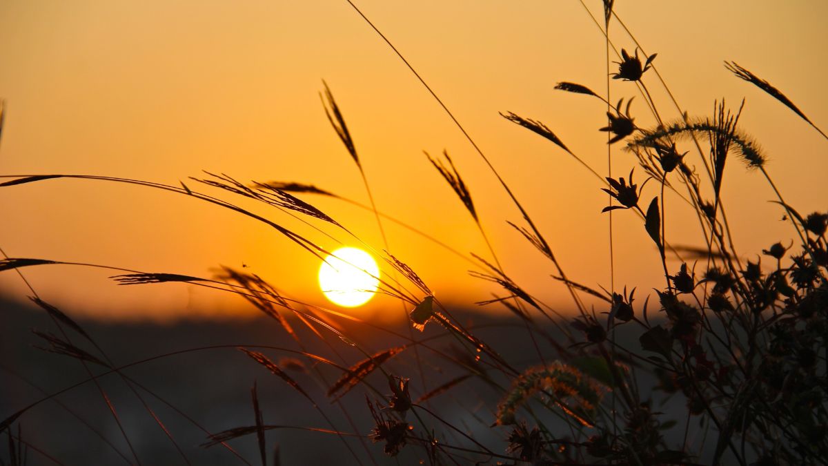 cau-tho-ve-mat-troi câu thơ về mặt trời