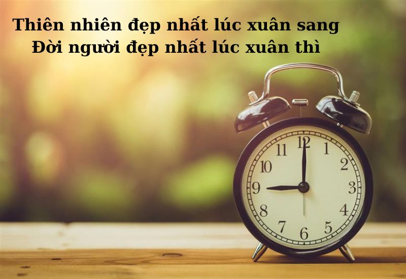 cau-tuc-ngu-ve-thoi-gian câu tục ngữ về thời gian