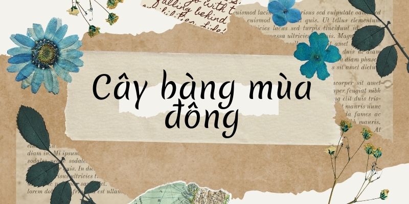 Cây bàng mùa đông (Trần Đăng Khoa)