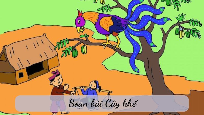 cay-khe Cây khế