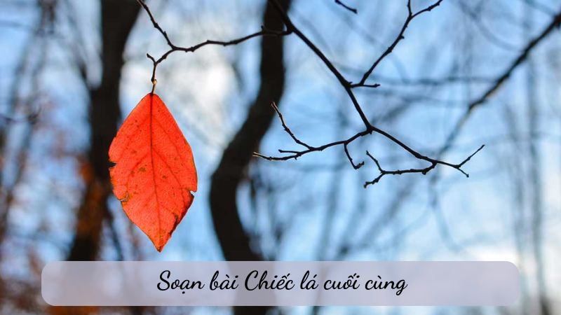 chiec-la-cuoi-cung Chiếc lá cuối cùng