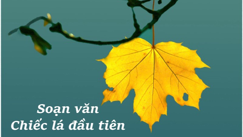 chiec-la-dau-tien-2 chiếc lá đầu tiên