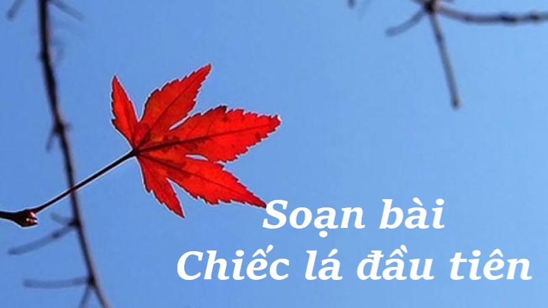 chiec-la-dau-tien-soan-van chiếc lá đầu tiên soạn văn
