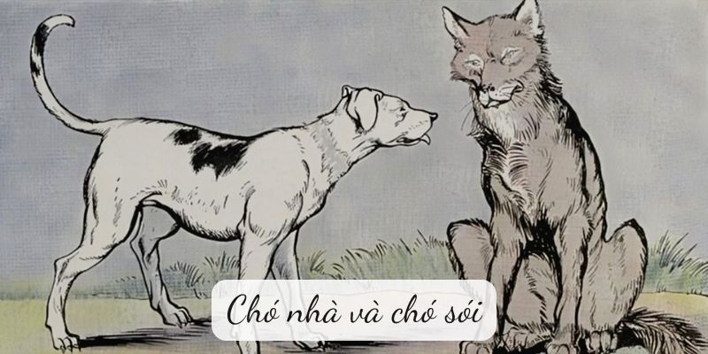 Truyện Ngụ Ngôn Chó Nhà và Chó Sói: Bài Học Sâu Sắc Về Tự Do
