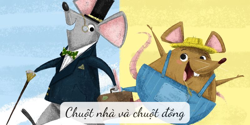 chuot-nha-va-chuot-dong-1 Chuột nhà và chuột đồng