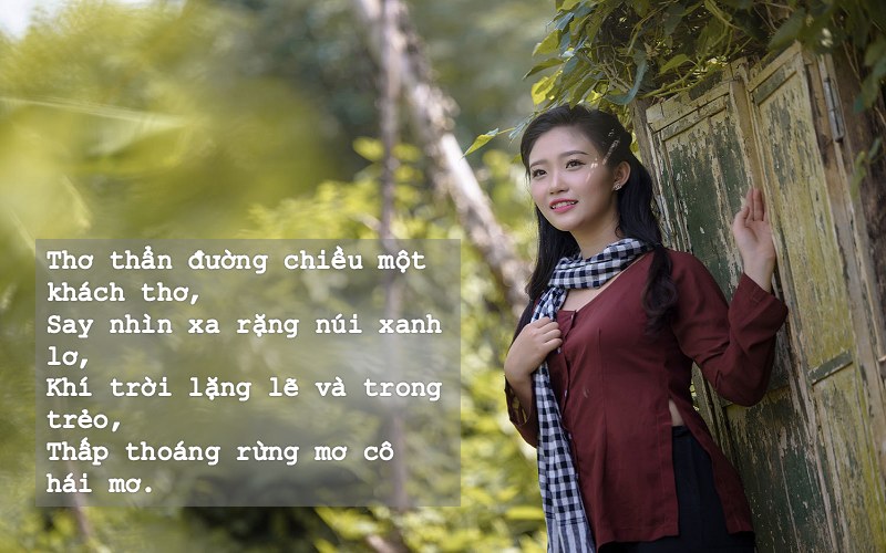 co-hai-mo Cô hái mơ