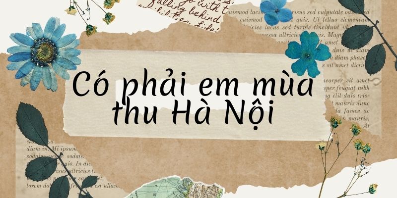 Bài thơ Có phải em mùa thu hà nội (Tô Như Châu)