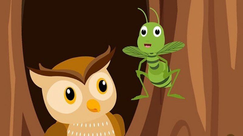 Truyện cổ tích Việt Nam: Sự tích con cú