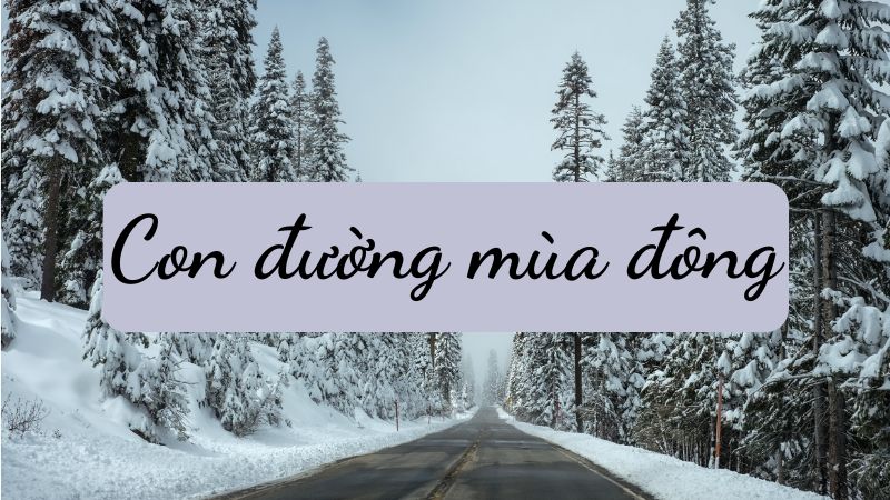 con-duong-mua-dong-ket-noi-tri-thuc Con đường mùa đông Kết nối tri thức
