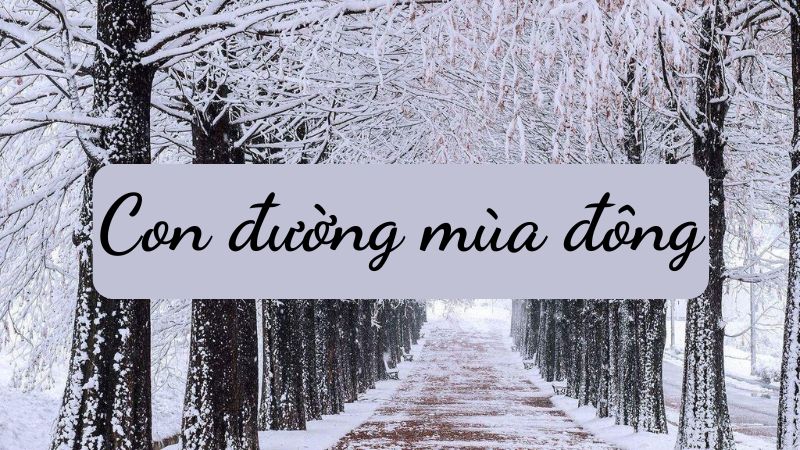 con-duong-mua-dong-van-11-1 Con đường mùa đông Văn 11