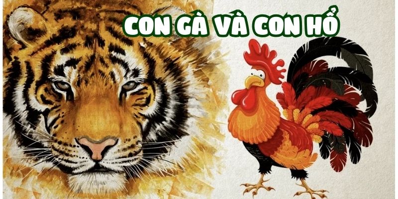 con-ga-va-con-ho-1 con-ga-va-con-ho