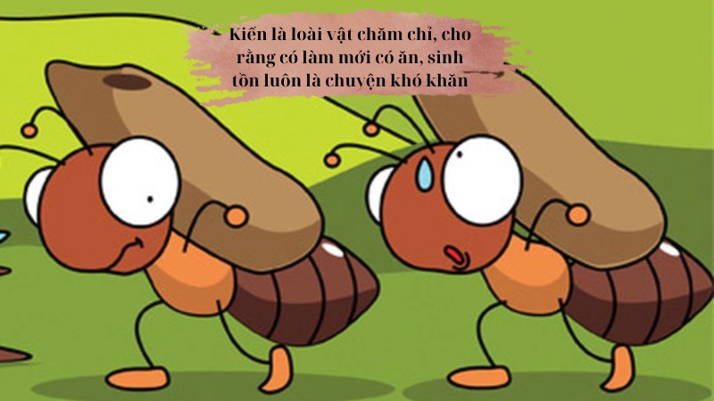 con-moi-va-con-kien con mối và con kiến