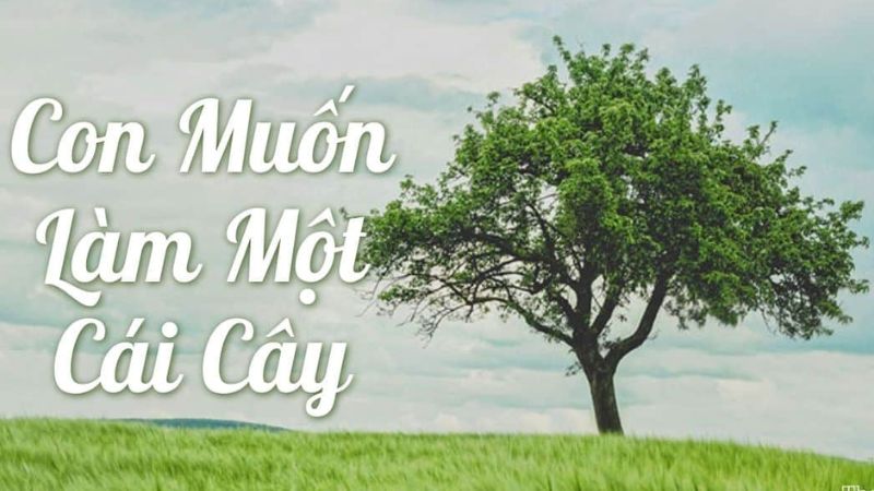 con-muon-lam-mot-cai-cay Con muốn làm một cái cây