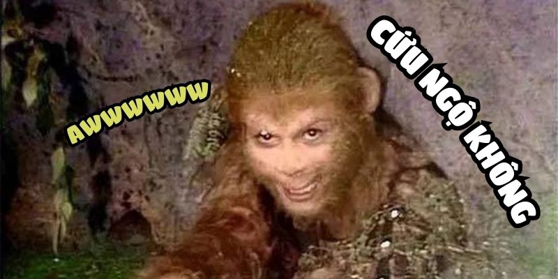 cuu-ngo-khong-1 Cứu ngộ không