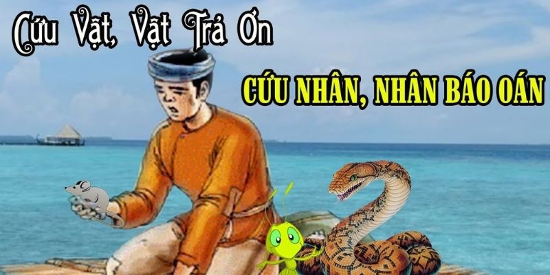 cuu-vat-vat-tra-an-cuu-nhan-nhan-tra-oan-1 Cứu vật vật trả ân, cứu nhân nhân trả oán