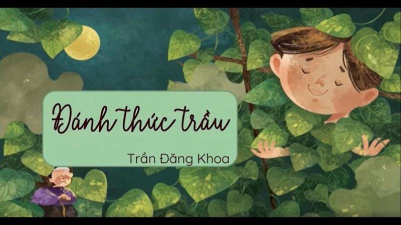 danh-thuc-trau đánh thức trầu