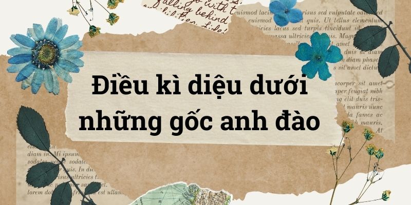Bài 1: Điều kì diệu dưới những gốc anh đào – Tiếng Việt lớp 5 Chân trời sáng tạo