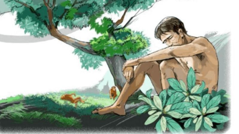 doc-hieu-muoi-cua-rung đọc hiểu muối của rừng