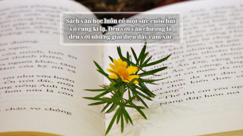 doc-van-cuoc-choi-tim-y-nghia đọc văn cuộc chơi tìm ý nghĩa